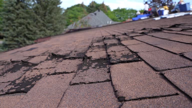 Best Roof Leak Repair  in Oberlin, OH