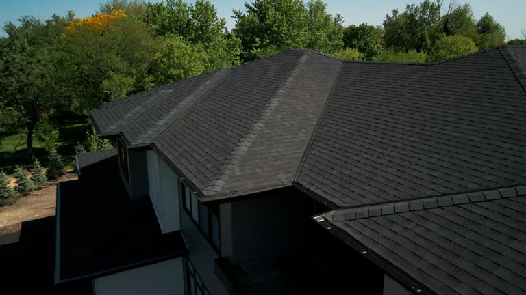 Best Roof Moss and Algae Removal  in Oberlin, OH