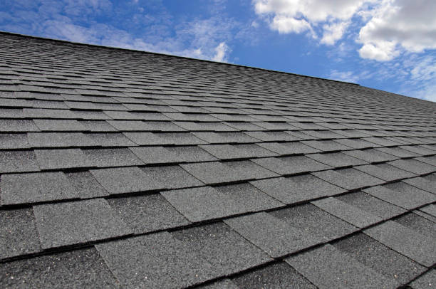 Best Roof Coating and Sealing  in Oberlin, OH